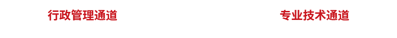 中国365电子游戏(股份)有限公司-官方网站