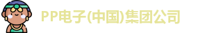 pp电子